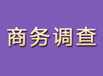 房县商务调查